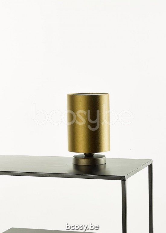 Marckdael VVD VDV EAN barcode 1x5420059279472+1x5420059269985 Verlichting van Dijck Dyck Markdaal VVD VDV.