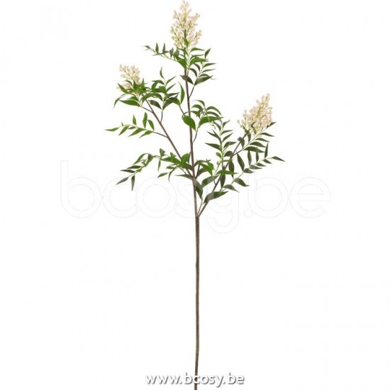 J Line 12508 Accessori Della Casa Woon Accessoires Decorations Decoracion Decoratie fleur d arbres Decoration Decoratie bloesem Decorations Home Accessories Wohnzubehoer Accesorios De Casa Dekoration