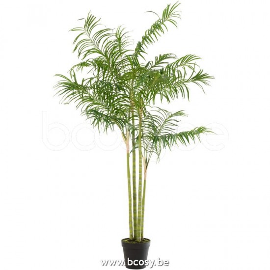 J Line 12525 Decoracion Online Winkels Accessori Della Casa Palm trees Design Distributeur Dekoration Boutique Web Vente en ligne Decoratie Home Accessories Decoracion Reseller E shop Buy online buyin