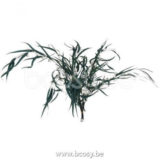 J Line 17648 Decoration Dekoration Decoratie boomtak Accesorios De Casa tree branches branches d arbres accessoires De La Maison Baumzweige Boomtakken tree branch Decoratie Kunstboomtakken branches d