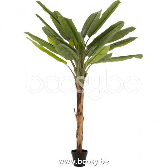 J Line Jline Banano Plastica Verde Marrone Platanero Plastico Verde Marron