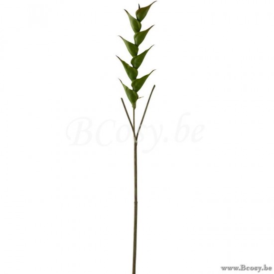 J Line 2559 Flowers Home Accessories fleur accessoires De La Maison Decoration Fiori Decoratie Blume Dekoration Decorazione bloem Blumen Dekoration Wohnzubehoer Bloemen Decoracion Blumen Fleurs Access