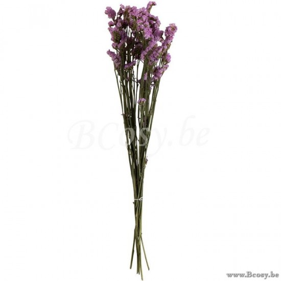 J Line 2621 Wohnzubehoer Accesorios De Casa Decorazione Decorations Fleurs Decoracion Blumen accessoires De La Maison Decoratie Decoration Flores flower bloempje Dekoration Decoration Decoracion Decor