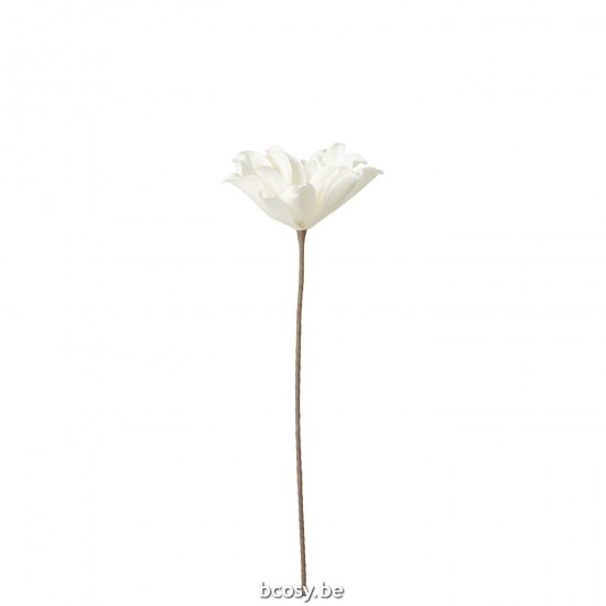 J Line Bloem Tak Korte Bladeren 1 Kop Eva Wit L76xB15xH11 cm diverse bloemen JO32939.