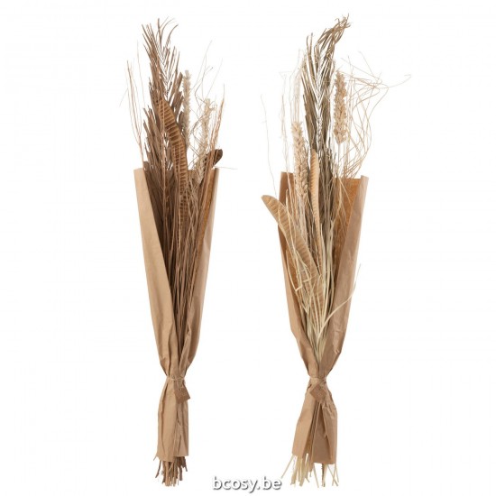 J Line Wild Bladeren Naturel L22xB10xH144 cm droogbloemen JO33012.