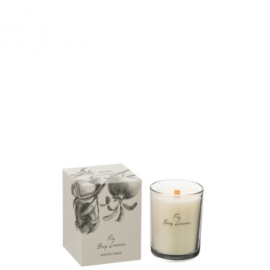 J Line Candela Profumata Fico Bacca Foglie Cera Di Coco Large 50Ore Vela Perfumada Higos Baya Hoja Cera Coco L 50 Horas.