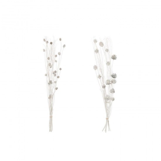 J Line Ramo Pigna Fiore Secco Bianco Assortimento Di 2 Rama Cono De Pino Flor Seca Blanco Surtido De 2.