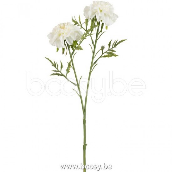 J Line Jline Scabiosa Columbaria 2 Pezzi Plastica Bianco Escabiosa 2 Partes Plastico Blanco Small