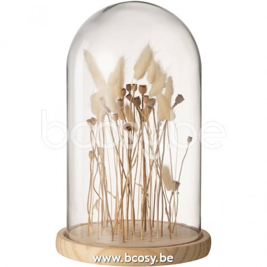 cloches cuvecles clochettes en verre statuettes Jolipa J Line Jline Cloche En Verre Sur Fleurs Sechées Ecru Brun Verre Bois Large