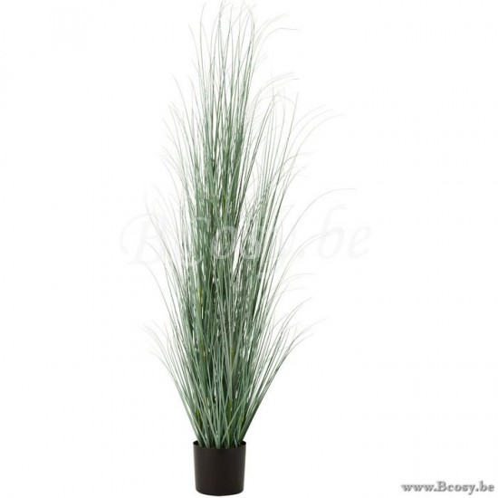 J Line 2739 Grassen In Pot Plastiek Blauw Groen Extra Large 180 Siergrassen