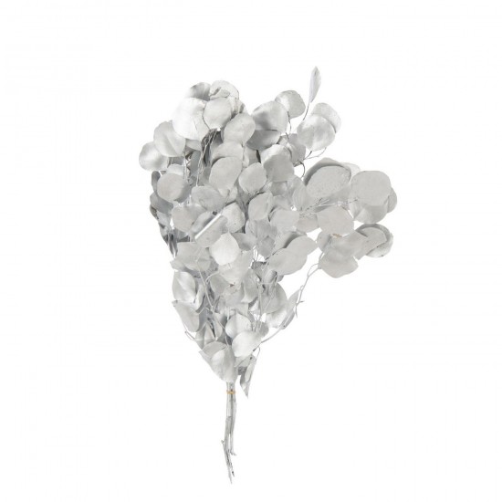 Jline Eucalipto Flor Seca Plata.