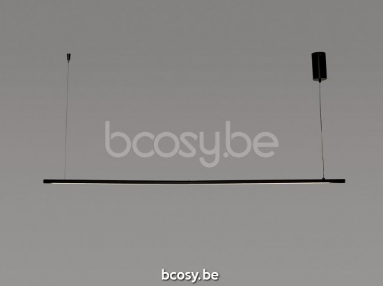 Marckdael VVD Portland zwart pendel VVD VDV Verlichting van Dijck Dyck Markdaal.