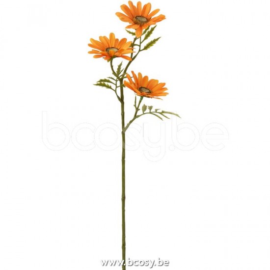 J Line 12464 Bloem Madelief Plastiek Oranje L43 bloemen flores fiori