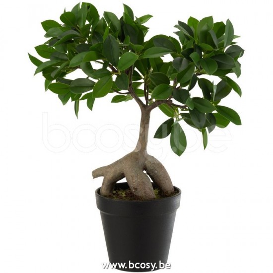 J Line 12517 Chinese Vijg Ficus Boom In Pot Plastiek Groen Zwart Small L25xB13xH37 planten kunstplanten kunstboom kunstbomen kunstplantjes