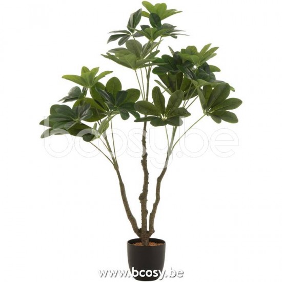 plantes en pot Jolipa J Line Jline Pachira En Pot Plastique Vert Small