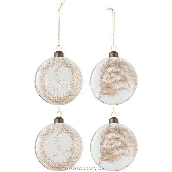J Line 27120 Doos Van 4 Kerstballen Rond Plat 2 2 Gedroogde Pampas Glas Transparant Medium L10xB5xH10 cm kerstballen kerstbollen