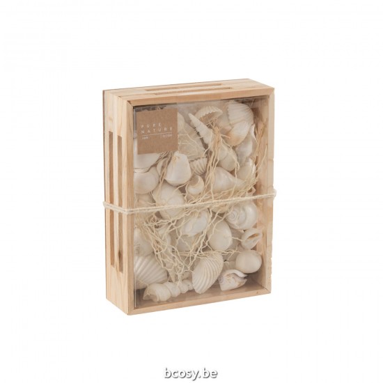 J Line Doos Rechthoek Schelpen Wit L20xB15xH6 cm schelpen JO32994.