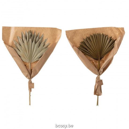 Jline Gedroogde Palmboom Bladeren 2 Stukken Groen Assortiment Van 2.