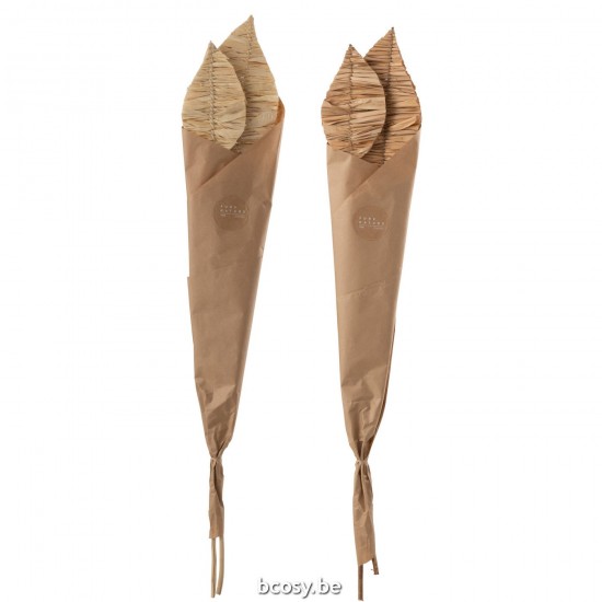 J Line Mais Bladeren 2 Stukken Naturel L15xB5xH102 cm droogbloemen JO33010.