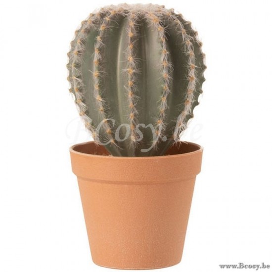 J Line Cactus Bolvormig Pot Kunststof Groen Terracotta Large 24H cactussen JO4115.