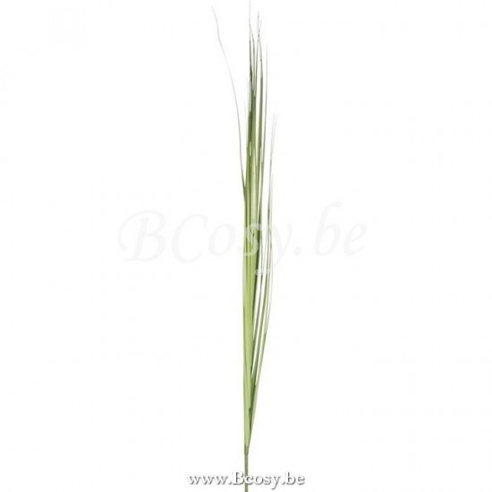 Jline Rama Hierbas Plastico Verde Large