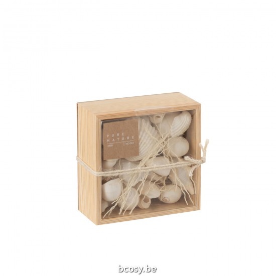 J Line Coquilles coquillage statuettes Jolipa Boite Carre Coquillages Blanc.