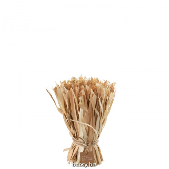 J Line Bunch Dried Flowers Natural Small dried flowers.