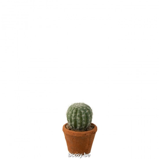 J Line Cactus Rond In Pot Plastiek Groen L8xB8xH15 cm cactussen Vetplanten JO33342.