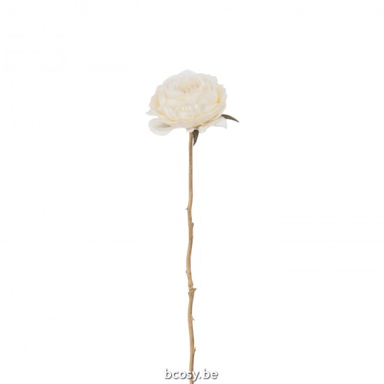 J Line Roses artificielles Jolipa Rose 1 Tige Plastique Crème Or.