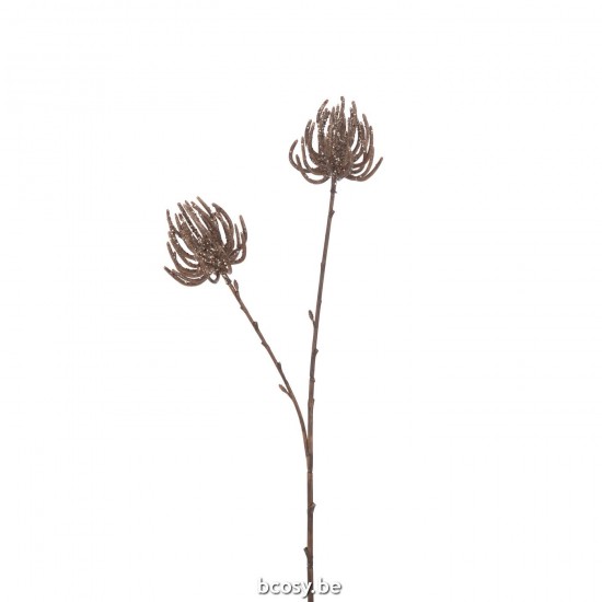 J Line branches d'arbres Jolipa Branche 2 Fleurs Paillettes Plastique Brun.