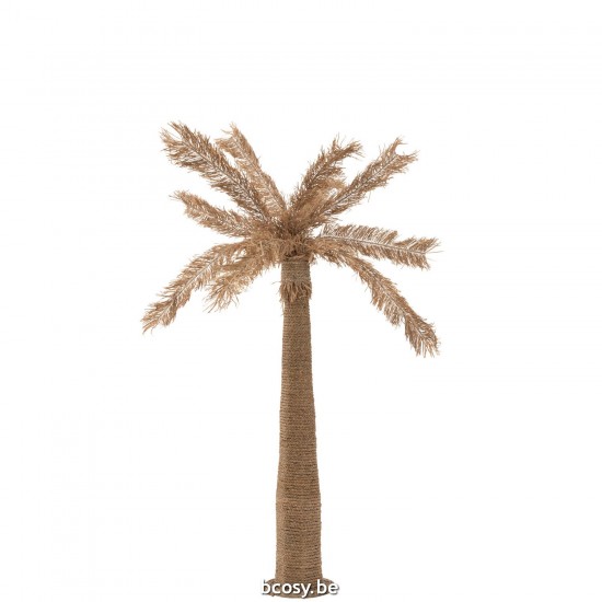 J Line Palmtree Seagrass Natural Large trees.