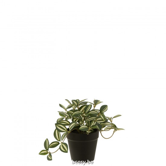 J Line plantes en pot Jolipa Tradescantia En Pot Artificiel Vert Blanc.