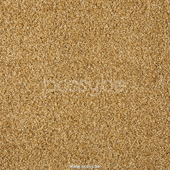 sedna pyrrha 9 pyrrha