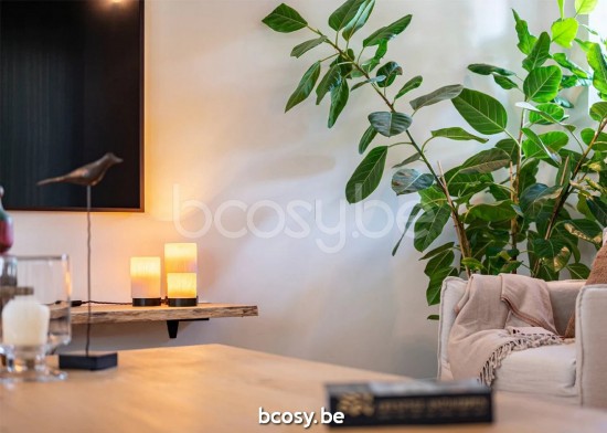 Authentage Tafellampen Leeslichten Leeslampen Binnenverlichting Éclairage Armatures Luminaires D'intérieur Pieds De Lampe Avec Abat Jour Lampes De Table Table L.