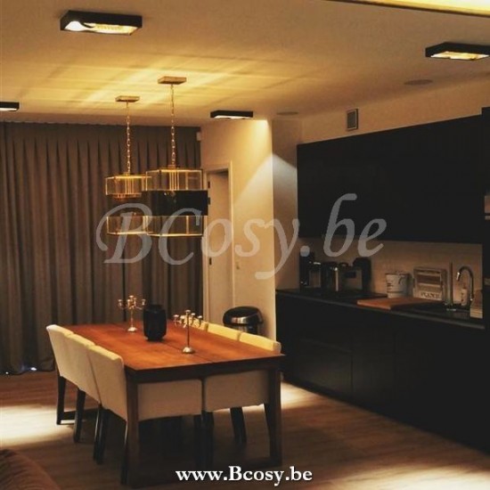 Authentage QLS0L2600 Q-BRI hang pendellamp licht Bronze Authentage hang pendellampen licht.