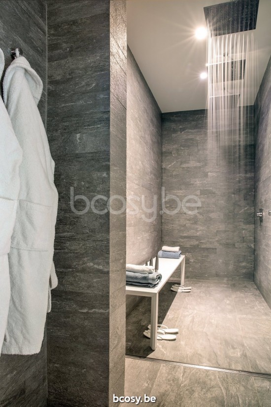 Diphano BEN5000008-0001.