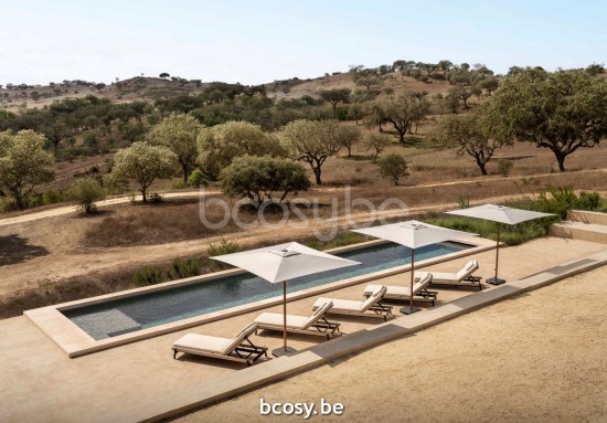 Jardinico JCP102 230x230 Quadratischer Ampelschirm Strukturiertes Teakholz Aluminium Mast Stoff Ice Sunbrella Plus Marine.