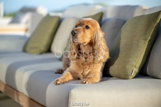 Jati Kebon Truro Lounge Loungebasis 2-zit + 2 teakdelen Antraciet mat aluminium.