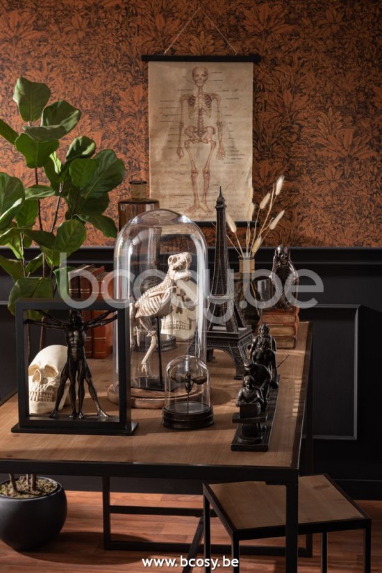 J Line Jline Evoluzione Umana Resina Bronzo Evolucion Del Humano Resina Bronce