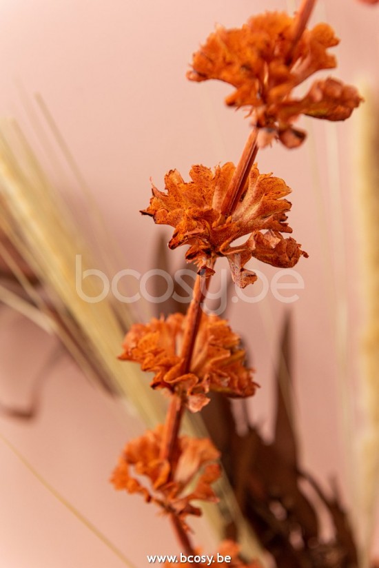 Jline Rama Campanas De Irlanda Plastico Naranja