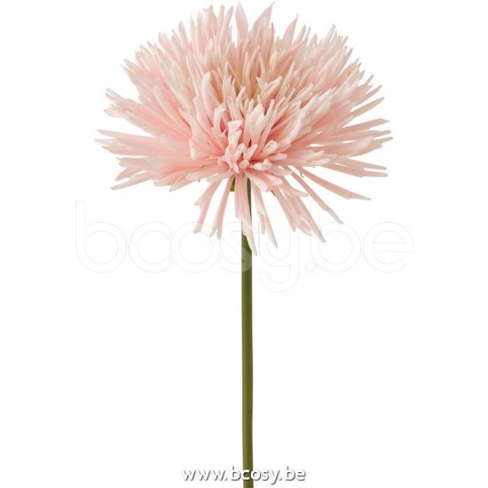 Jline 12417 Bloemen Fleurs Flowers Blumen Flores Fiori DECORATIE Kunst Bloemen Planten Bomen
