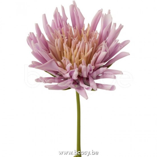 Jline 12426 Bloemen Fleurs Flowers Blumen Flores Fiori DECORATIE Kunst Bloemen Planten Bomen