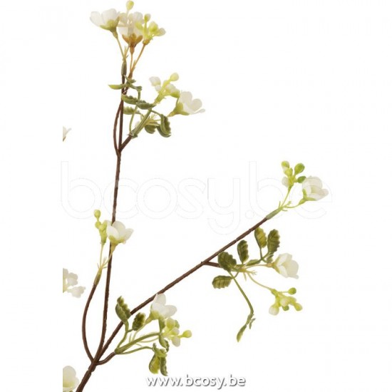 Jline 12443 Bloemen Fleurs Flowers Blumen Flores Fiori DECORATIE Kunst Bloemen Planten Bomen.