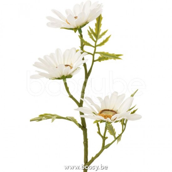 Jline 12465 Bloemen Fleurs Flowers Blumen Flores Fiori DECORATIE Kunst Bloemen Planten Bomen.
