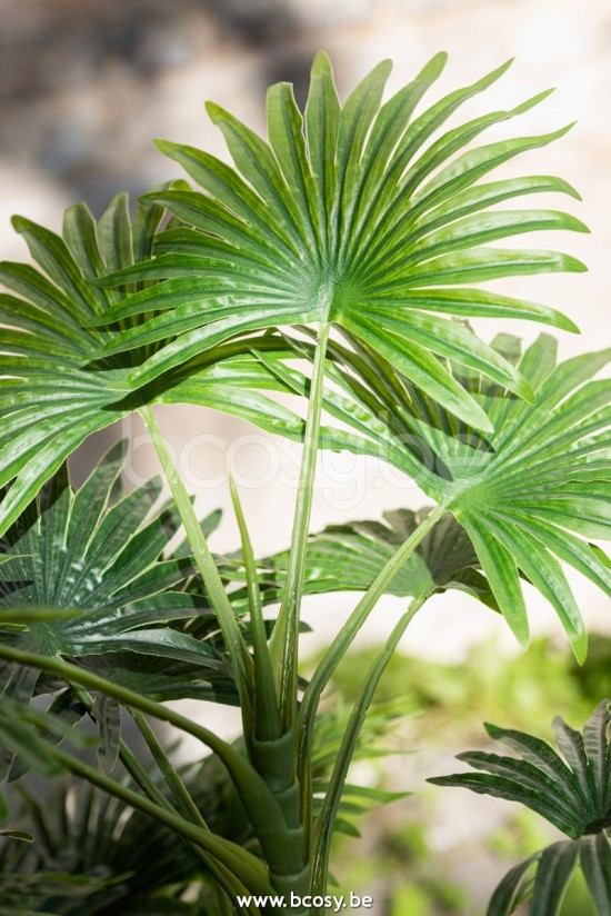 J Line Jline Palma Fan Vaso Plastica Verde Palmboom Fan En Maceta Plastico Verde