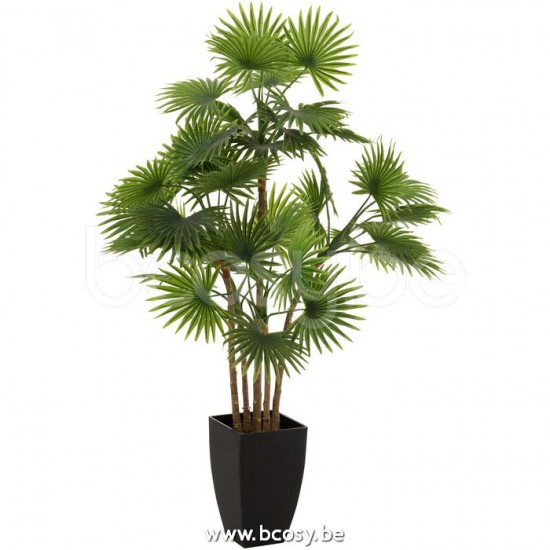 J Line 12531 Palmboom Fan In Pot Plastiek Groen L75xB75xH105 Palmbomen