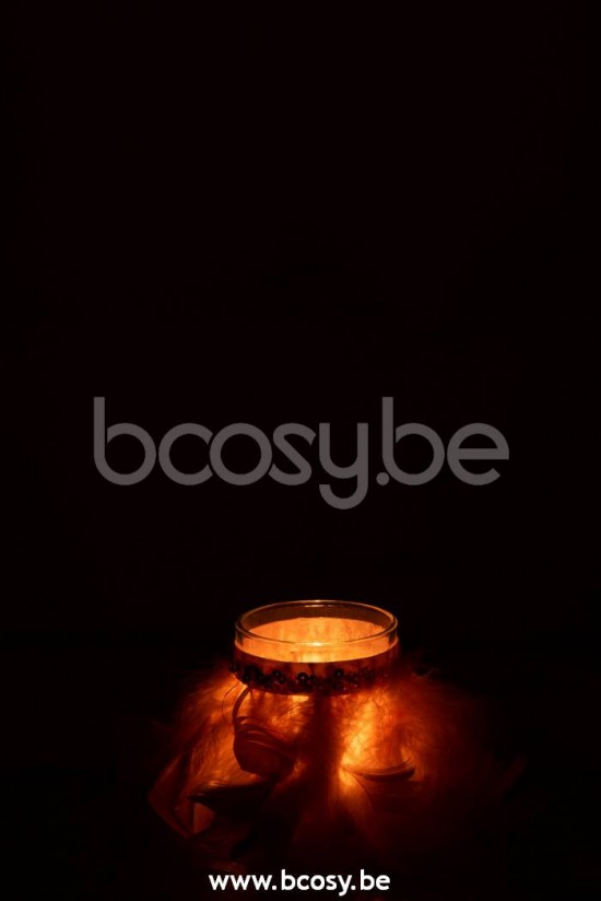 photophores Jolipa J Line Jline Photophore Plumes Rose Clair Verre Transparent Small