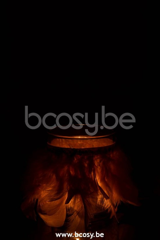 photophores Jolipa J Line Jline Photophore Plumes Rose Clair Verre Transparent Large