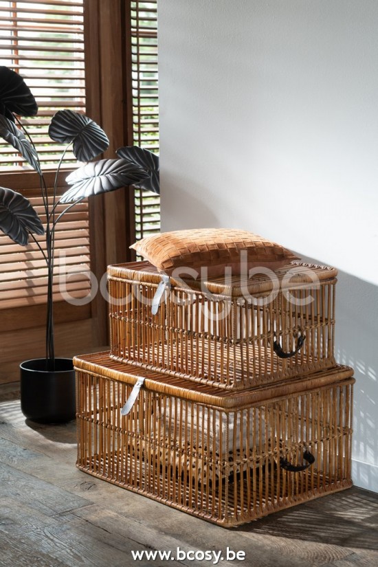 J Line 17920 Textiles Kussentjes kussen Kussentje Distributeur Decorazione Tessile Online Webwinkel Online Verkooppunten Online Decoratie E shop kussen Textiel Oorkussens Textilien Reseller Decoracion