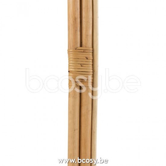 J Line Jline Jolipa 20769 Spiegel Ladder Rotan Naturel